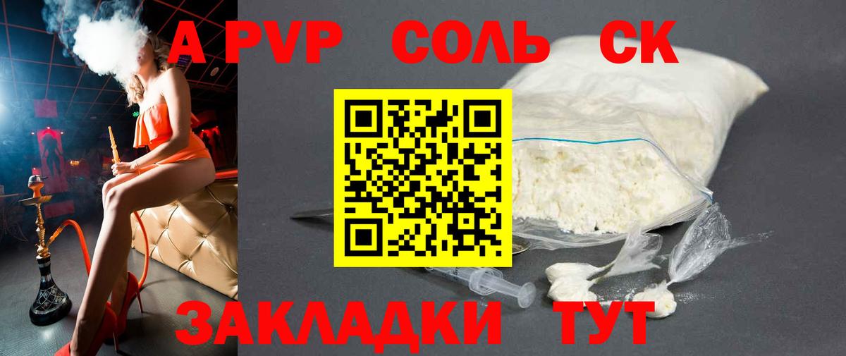 Alfa_PVP СК Тамбов