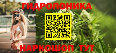 тгк Новодвинск