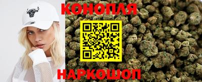тгк Новодвинск