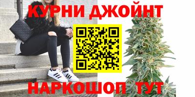 прущие крисы Новозыбков