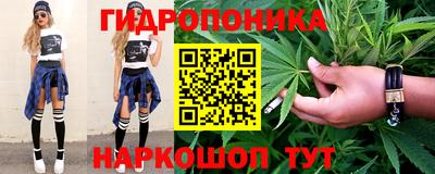 тгк Новодвинск
