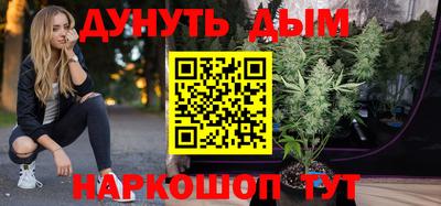 прущие крисы Новозыбков