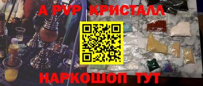 тгк Новодвинск