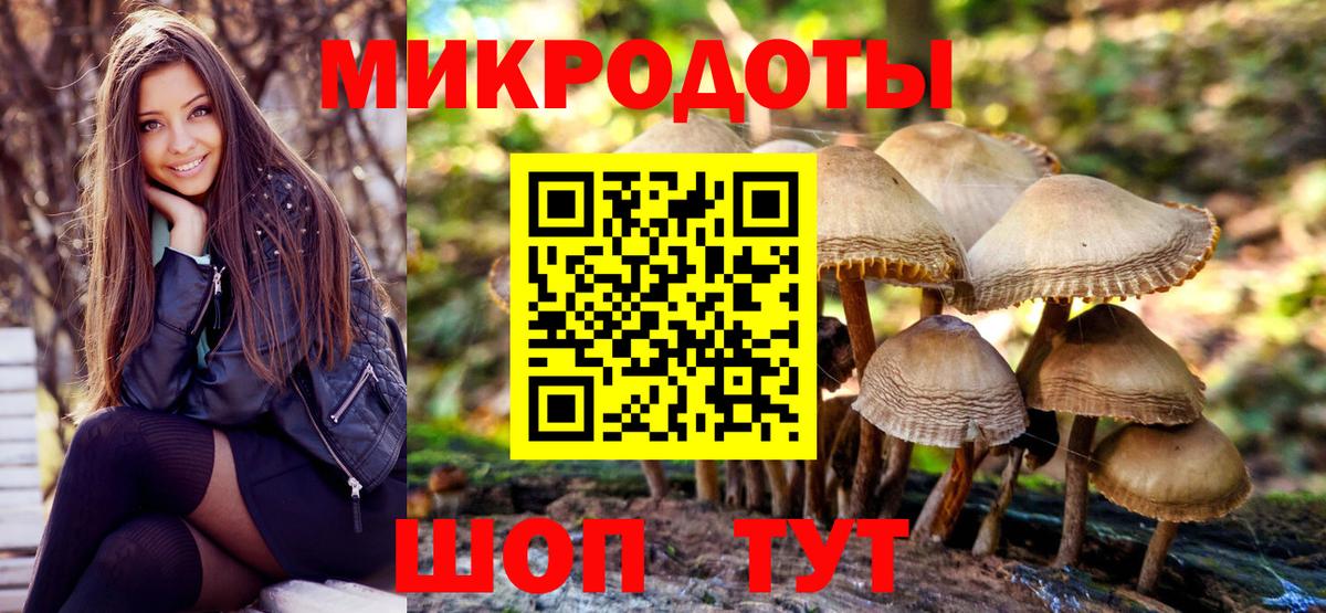 Тамбов  хочу наркоту  Вход с VPN  Псилоцибиновые грибы прущие грибы 