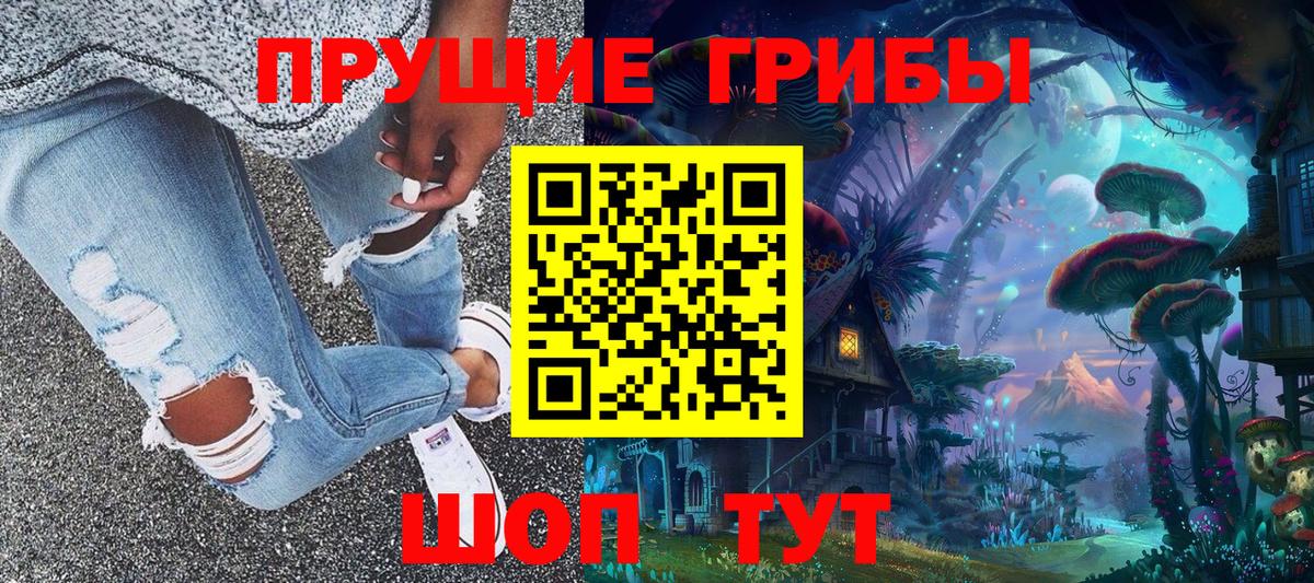 Псилоцибиновые грибы Psilocybine cubensis Тамбов